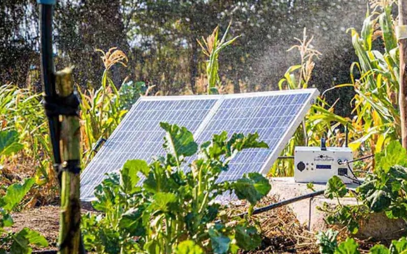 Solar irrigation pump for smallholder farmers